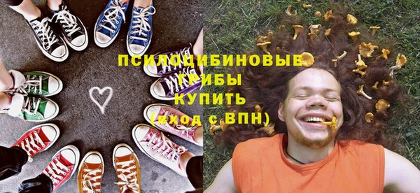 меф Кинешма