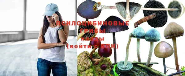 a pvp Киреевск