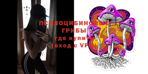 ПСИЛОЦИБИНОВЫЕ ГРИБЫ Киренск