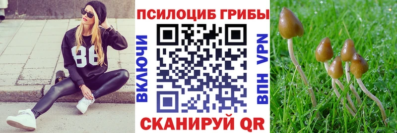 Псилоцибиновые грибы мицелий  Малаховка 
